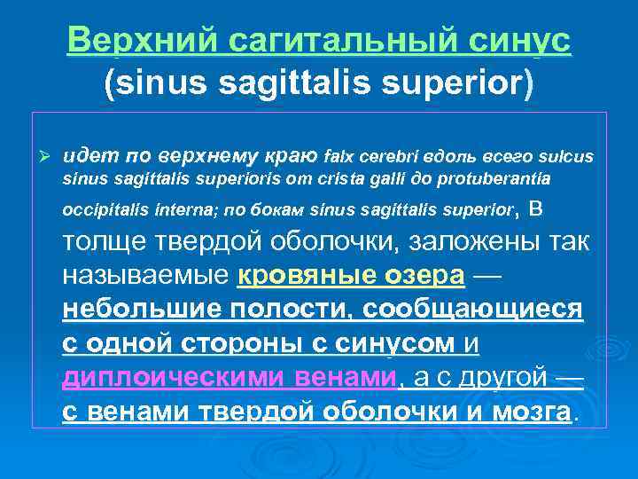 Верхний сагитальный синус (sinus sagittalis superior) Ø идет по верхнему краю falx cerebri вдоль