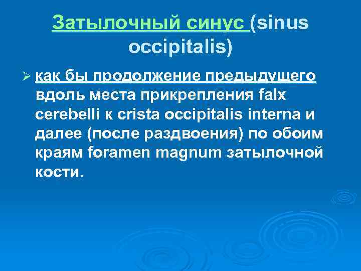 Затылочный синус (sinus occipitalis) Ø как бы продолжение предыдущего вдоль места прикрепления falx cerebelli