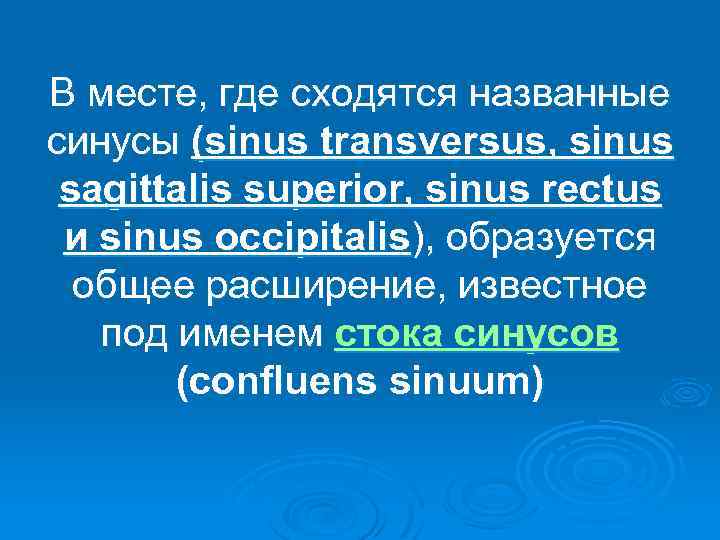 В месте, где сходятся названные синусы (sinus transversus, sinus sagittalis superior, sinus rectus и