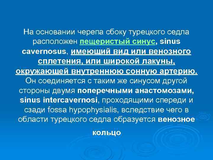 На основании черепа сбоку турецкого седла расположен пещеристый синус, sinus cavernosus, имеющий вид или