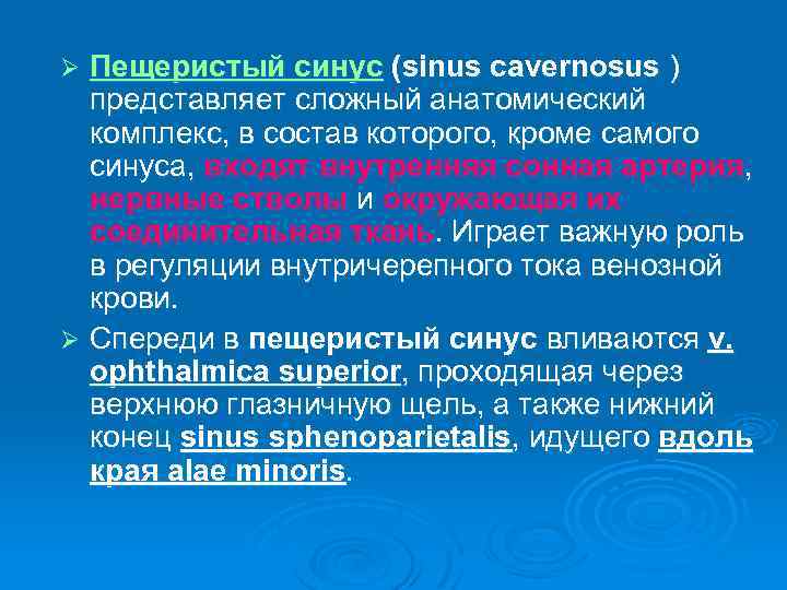 Пещеристый синус (sinus cavernosus ) представляет сложный анатомический комплекс, в состав которого, кроме самого