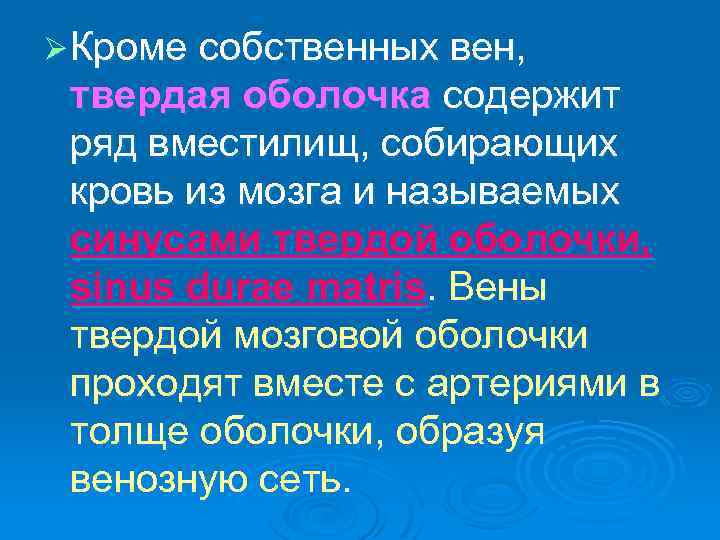 Ø Кроме собственных вен, твердая оболочка содержит ряд вместилищ, собирающих кровь из мозга и