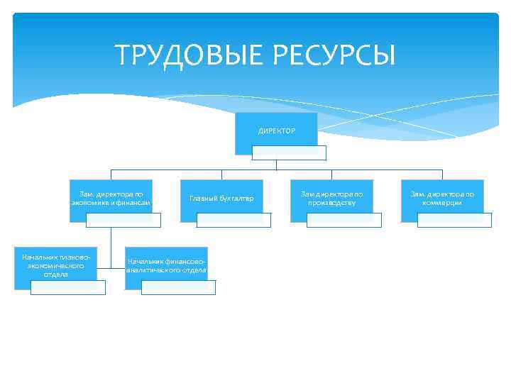 ТРУДОВЫЕ РЕСУРСЫ ДИРЕКТОР Зам. директора по экономике и финансам Начальник плановоэкономического отдела Главный бухгалтер