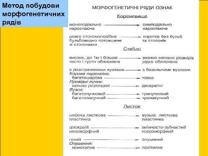 Метод побудови морфогенетичних рядів 