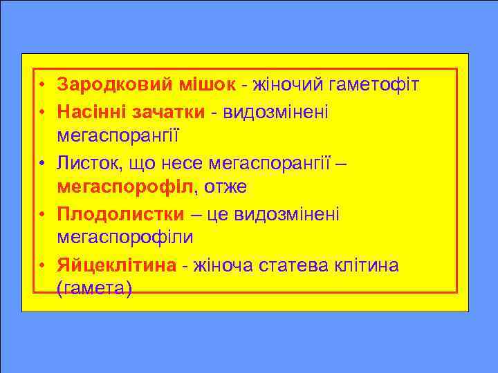  • Зародковий мішок - жіночий гаметофіт • Насінні зачатки - видозмінені мегаспорангії •