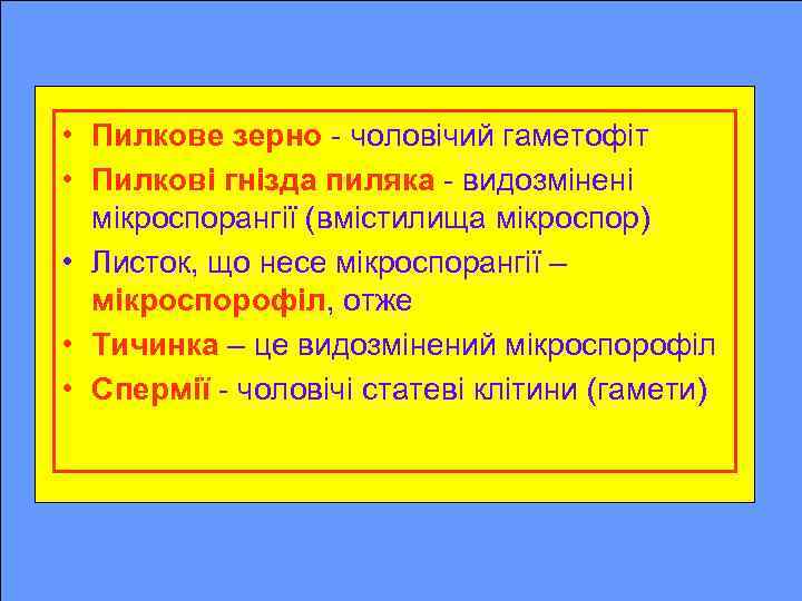  • Пилкове зерно - чоловічий гаметофіт • Пилкові гнізда пиляка - видозмінені мікроспорангії