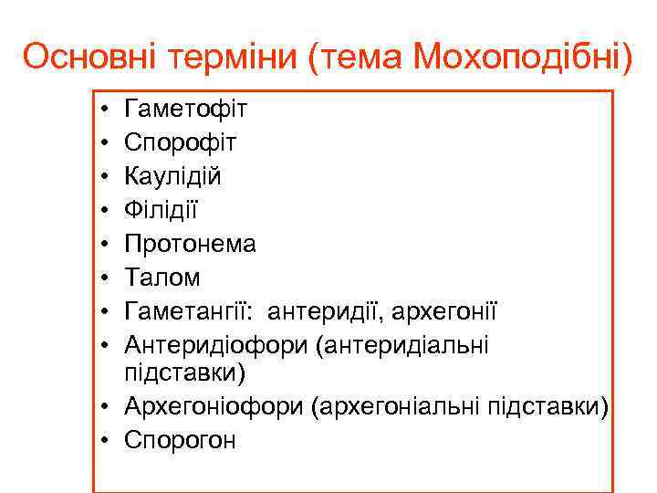 Основні терміни (тема Мохоподібні) • • Гаметофіт Спорофіт Каулідій Філідії Протонема Талом Гаметангії: антеридії,
