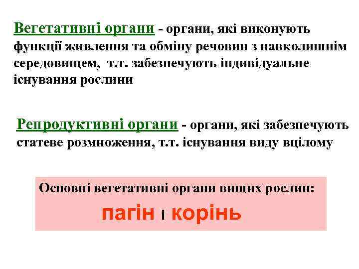 Вегетативні органи - органи, які виконують функції живлення та обміну речовин з навколишнім середовищем,