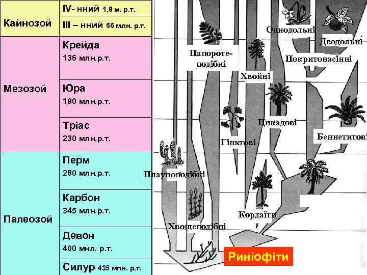 IV- нний Кайнозой 1, 8 м. р. т. ІІІ – нний 66 млн. р.