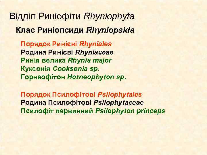 Відділ Риніофіти Rhyniophyta Клас Риніопсиди Rhyniopsida Порядок Ринієві Rhyniales Родина Ринієві Rhyniaceae Ринія велика