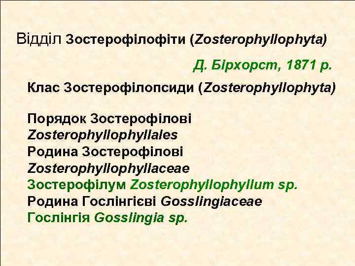 Відділ Зостерофілофіти (Zosterophyllophyta) Д. Бірхорст, 1871 р. Клас Зостерофілопсиди (Zosterophyllophyta) Порядок Зостерофілові Zosterophyllales Родина