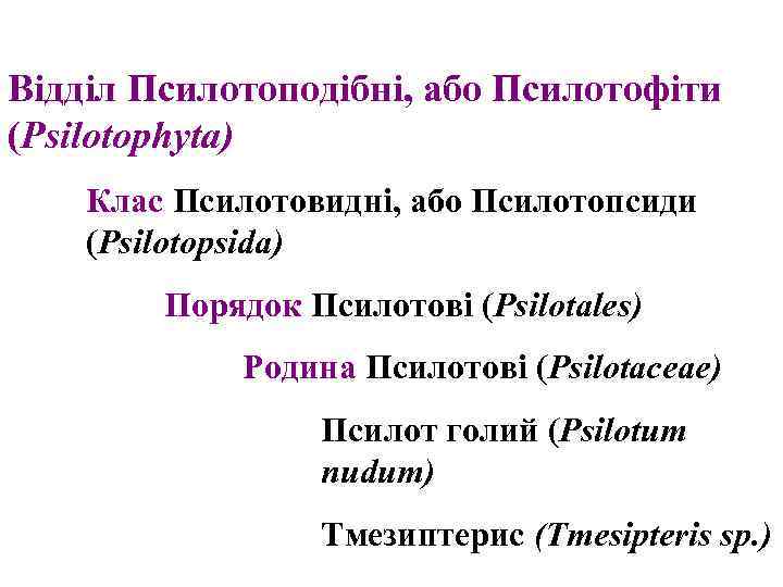 Відділ Псилотоподібні, або Псилотофіти (Psilotophyta) Клас Псилотовидні, або Псилотопсиди (Psilotopsida) Порядок Псилотові (Psilotales) Родина
