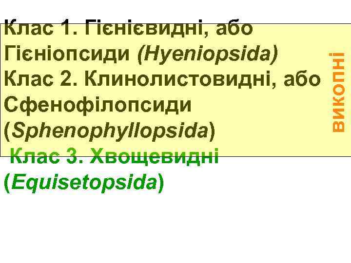 викопні Клас 1. Гієнієвидні, або Гієніопсиди (Hyeniopsida) Клас 2. Клинолистовидні, або Сфенофілопсиди (Sphenophyllopsida) Клас