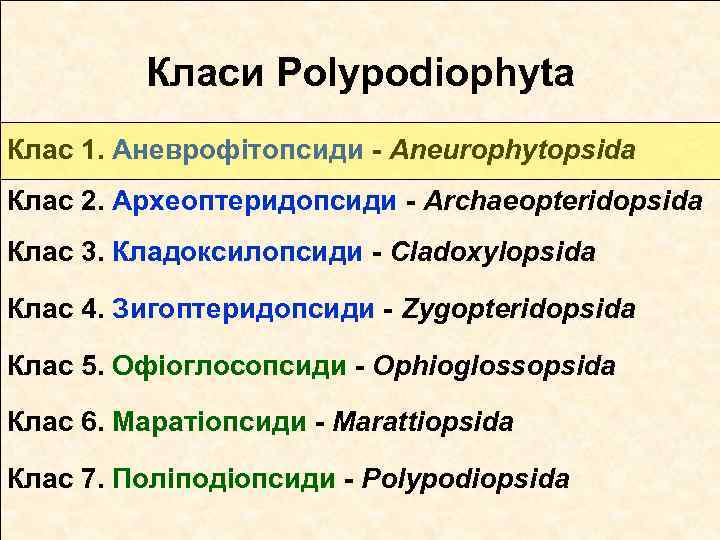 Класи Polypodiophyta Клас 1. Аневрофітопсиди - Aneurophytopsida Клас 2. Археоптеридопсиди - Archaeopteridopsida Клас 3.