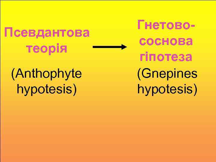 Псевдантова теорія (Anthophyte hypotesis) Гнетовососнова гіпотеза (Gnepines hypotesis) 