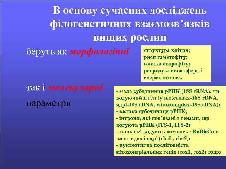 В основу сучасних досліджень філогенетичних взаємозв’язків вищих рослин беруть як морфологічні так і молекулярні