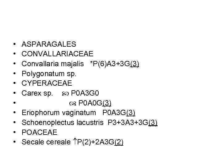  • • • ASPARAGALES CONVALLARIACEAE Convallaria majalis *P(6)A 3+3 G(3) Polygonatum sp. CYPERACEAE