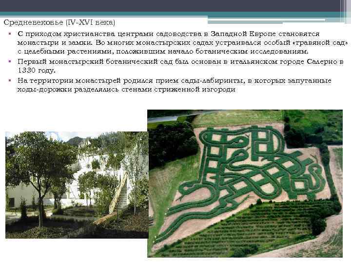 Средневековье (IV-XVI века) § С приходом христианства центрами садоводства в Западной Европе становятся монастыри