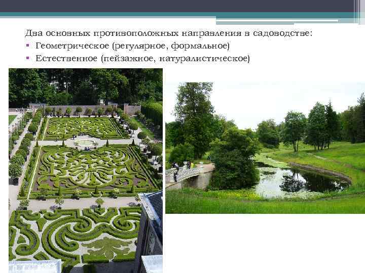 Два основных противоположных направления в садоводстве: § Геометрическое (регулярное, формальное) § Естественное (пейзажное, натуралистическое)