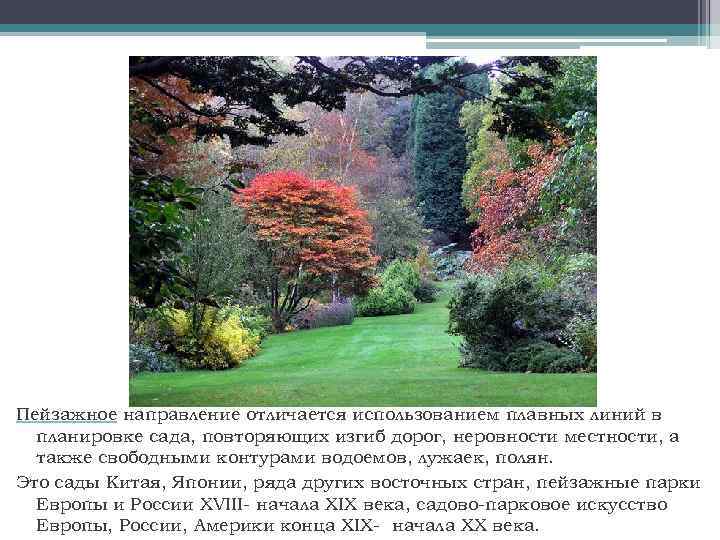 Пейзажное направление отличается использованием плавных линий в планировке сада, повторяющих изгиб дорог, неровности местности,