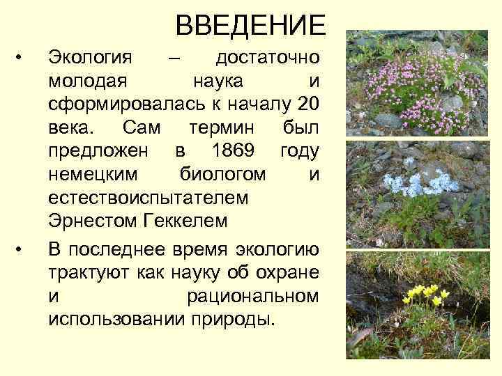ВВЕДЕНИЕ • • Экология – достаточно молодая наука и сформировалась к началу 20 века.