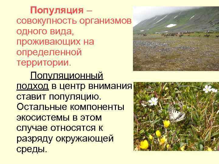 Популяция – совокупность организмов одного вида, проживающих на определенной территории. Популяционный подход в центр