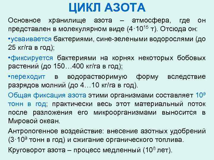 ЦИКЛ АЗОТА Основное хранилище азота – атмосфера, где он представлен в молекулярном виде (4·