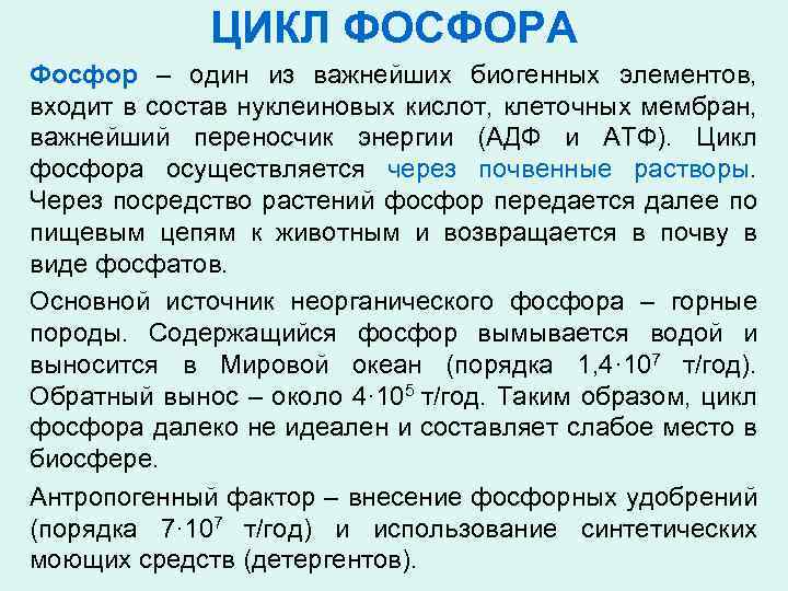 ЦИКЛ ФОСФОРА Фосфор – один из важнейших биогенных элементов, входит в состав нуклеиновых кислот,
