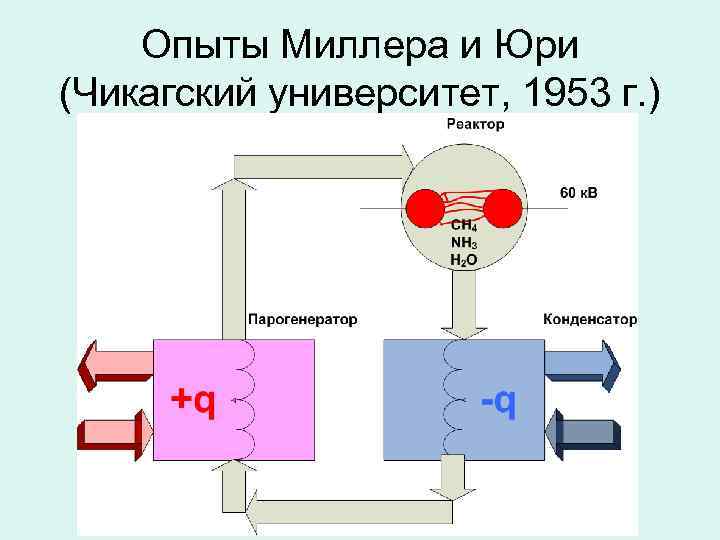 Эксперимент миллера юри. Опыт Миллера и Юри. Опыты Миллера и Юри (1953). Опыт Миллера.