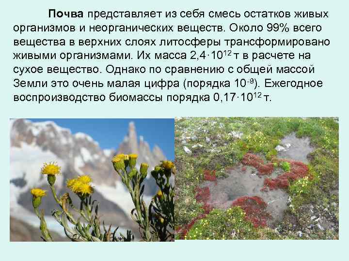 Почва представляет из себя смесь остатков живых организмов и неорганических веществ. Около 99% всего