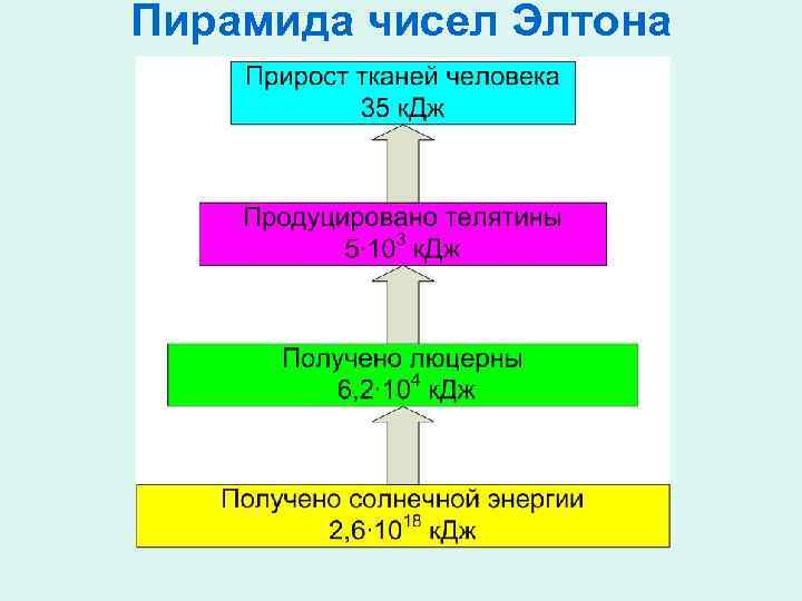 Пирамида чисел Элтона 