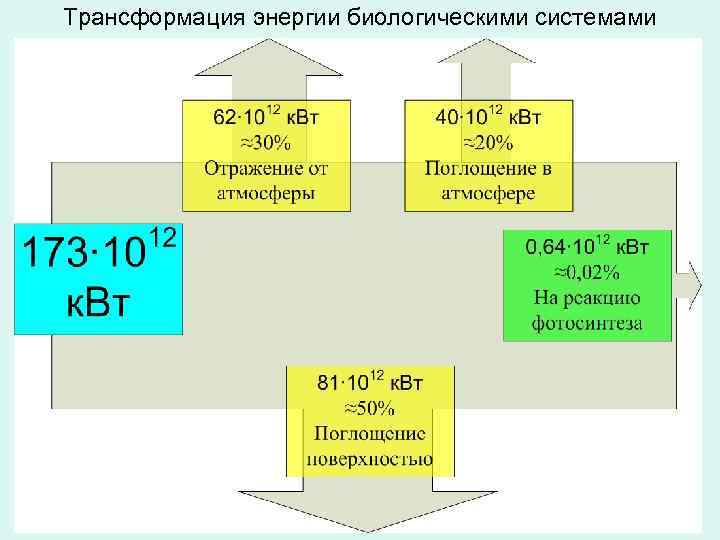 Трансформация энергии биологическими системами 
