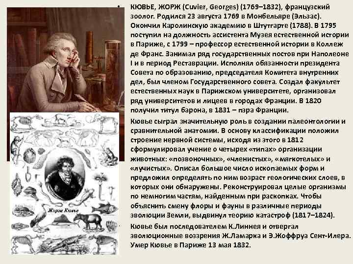 • • • КЮВЬЕ, ЖОРЖ (Cuvier, Georges) (1769– 1832), французский зоолог. Родился 23