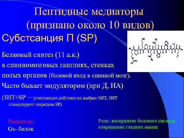 Пептидные медиаторы (признано около 10 видов) Субстсанция П (SP) Белковый синтез (11 а. к.