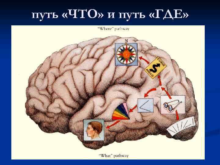 путь «ЧТО» и путь «ГДЕ» 