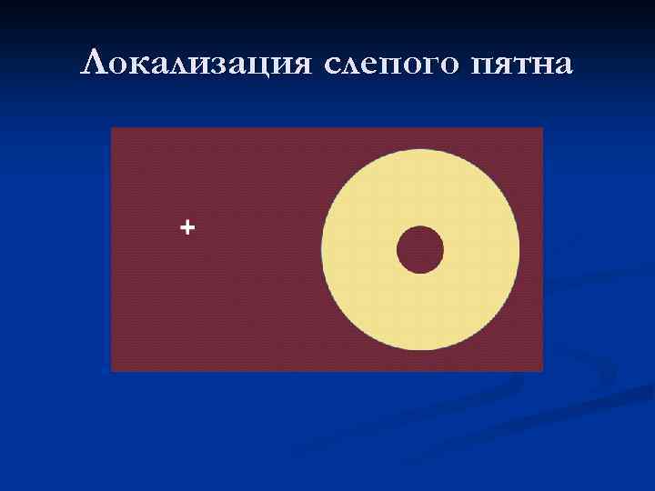 Локализация слепого пятна 