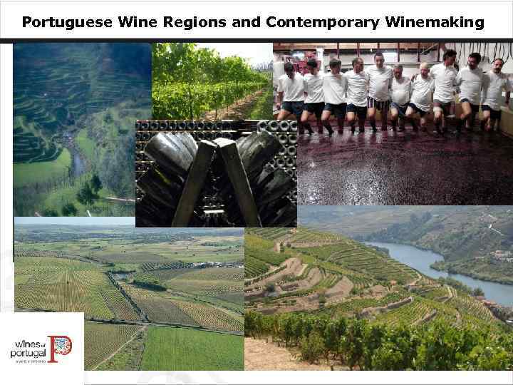 Portuguese Wine Regions and Contemporary Winemaking 