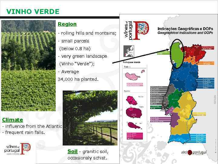 VINHO VERDE Region - rolling hills and montains; - small parcels (below 0. 8