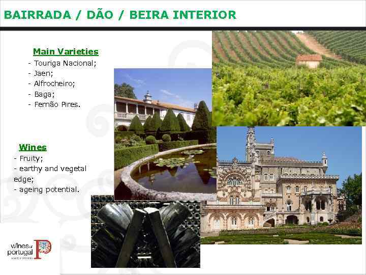 BAIRRADA / DÃO / BEIRA INTERIOR Main Varieties - Touriga Nacional; Jaen; Alfrocheiro; Baga;