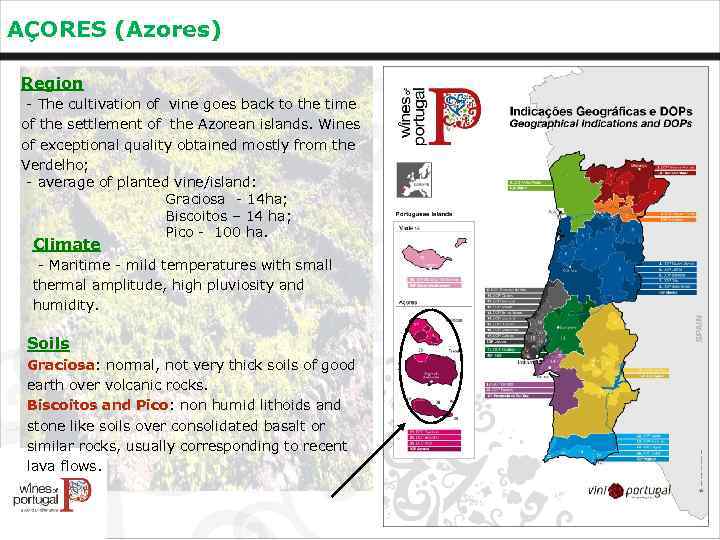 AÇORES (Azores) Region - The cultivation of vine goes back to the time of