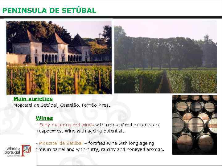 PENINSULA DE SETÚBAL Main varieties Moscatel de Setúbal, Castelão, Fernão Pires. Wines - Early