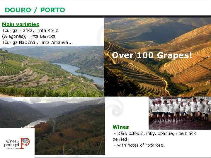 DOURO / PORTO Main varieties Touriga Franca, Tinta Roriz (Aragonês), Tinta Barroca Touriga Nacional,