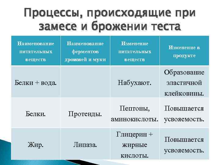 Выбери какие химические процессы происходят при приготовлении. Процессы, происходящие при замешивании теста. Процессы происхождения при замесе теста. Процессы происхождения при замесе и брожении теста. Процесс брожения теста.