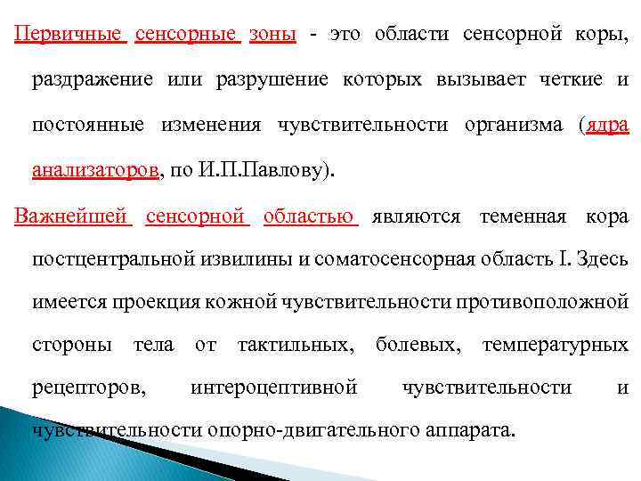 Первичные сенсорные зоны - это области сенсорной коры, раздражение или разрушение которых вызывает четкие