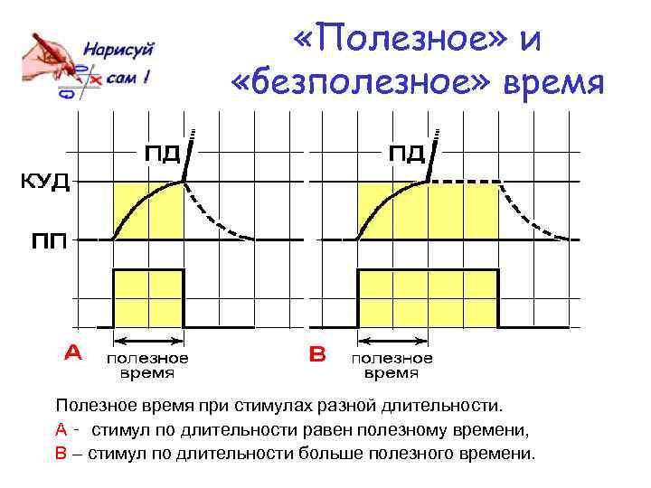  «Полезное» и «безполезное» время Полезное время при стимулах разной длительности. A ‑ стимул