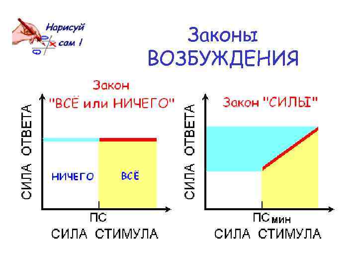 Законы ВОЗБУЖДЕНИЯ 