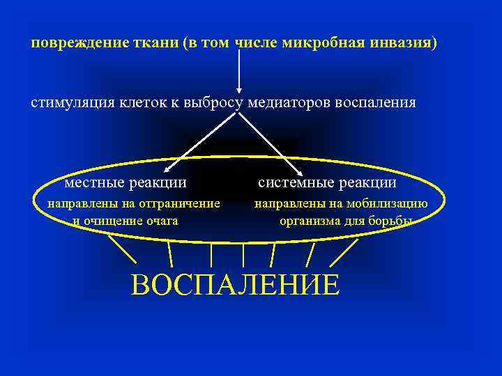 повреждение ткани (в том числе микробная инвазия) стимуляция клеток к выбросу медиаторов воспаления местные