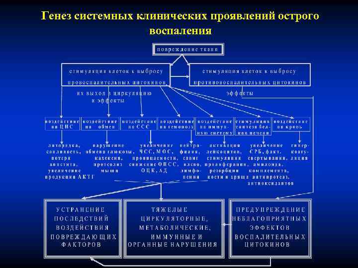 Генез системных клинических проявлений острого воспаления 