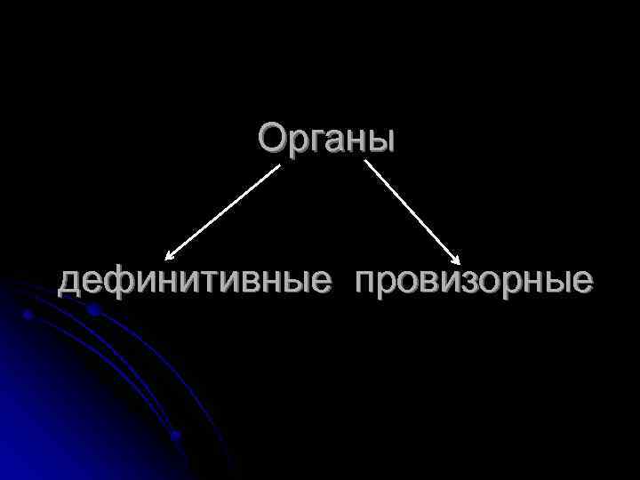 Органы дефинитивные провизорные 