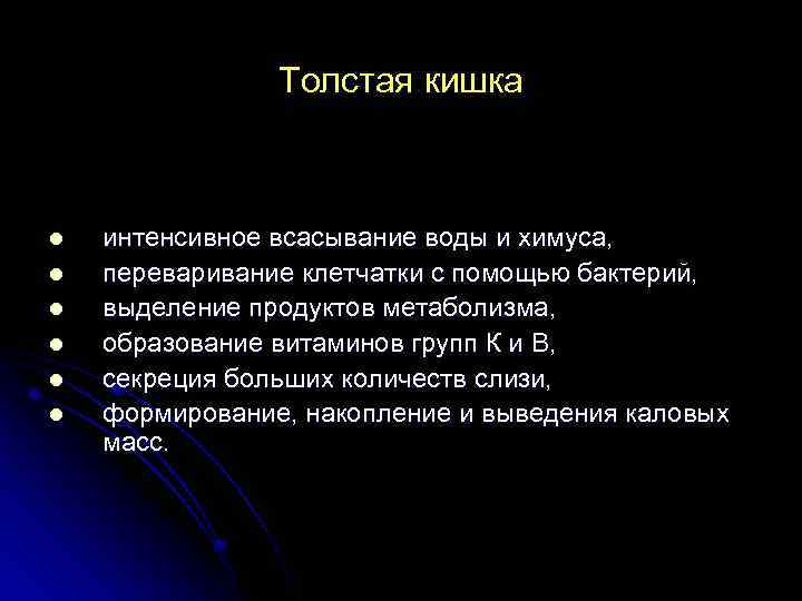 Толстая кишка l l l интенсивное всасывание воды и химуса, переваривание клетчатки с помощью